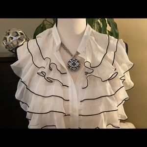 The Limited Sheer Ruffled Blouse